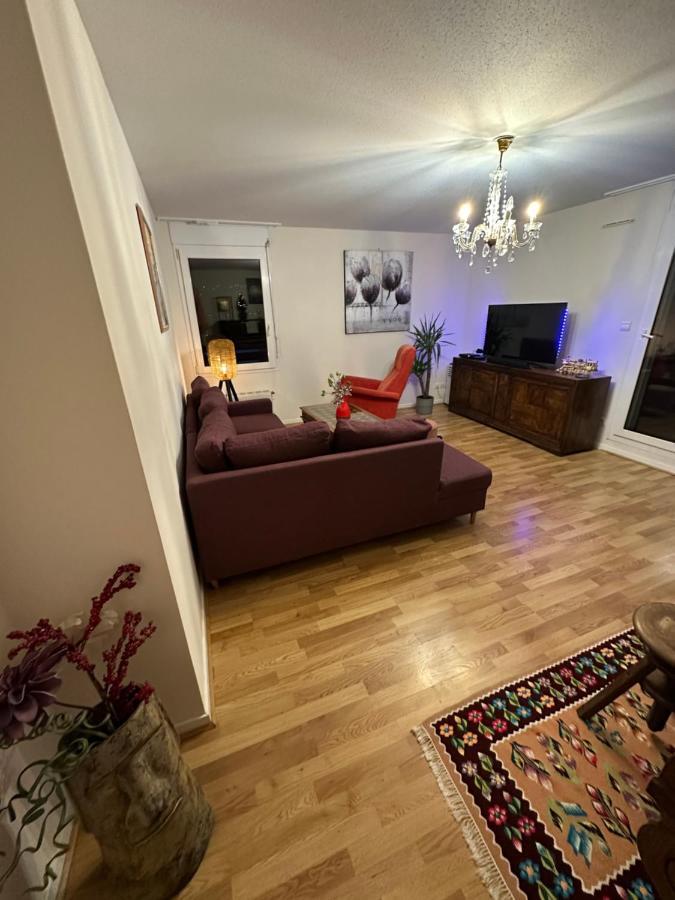 Ave De La Vaite Apartment Besancon Bagian luar foto